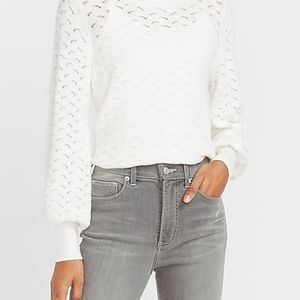 Express Pointelle Skimming Crew Neck Sweater